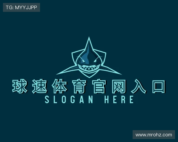 发现球速体育官网入口